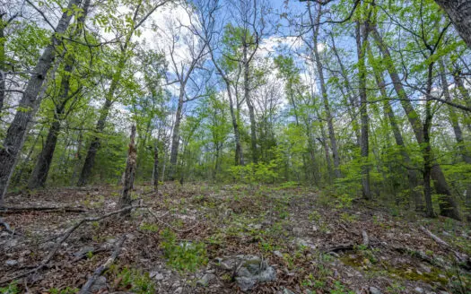 3.31 Acres Near Norfolk Lake and the White River | Mountain Home
