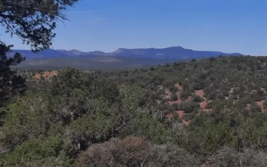 REMOTE Northern AZ off grid 160 ACRES old Homestead property