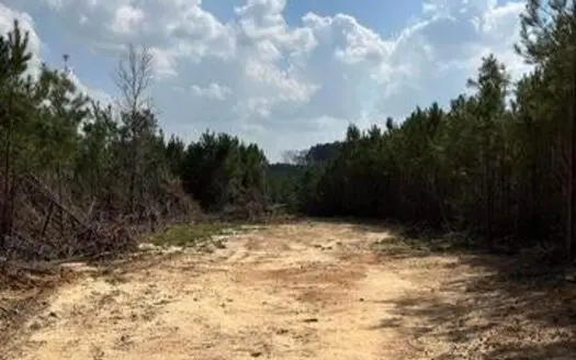 52 Acre Homesite Madison County Camden, MS