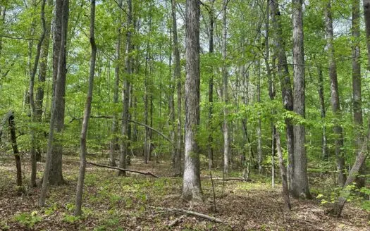 Lakeside Grove Retreat Near Kerr Lake Opportunity