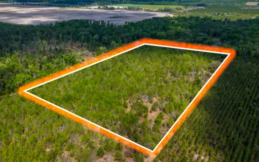 20-Acre Unrestricted Farm: High & Dry Near Live Oak