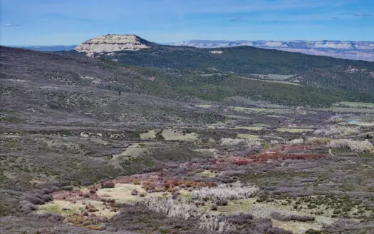 Vacant Land For Sale Near Powderhorn Ski Resort in Colorado
