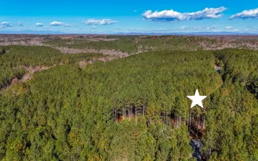 Adjacent Lots For Sale with Broad River Access – Cleveland County