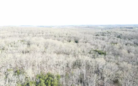 Land For Sale St. Clair County