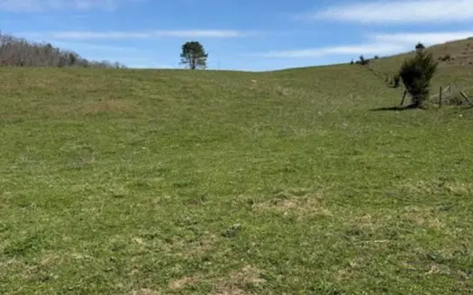 35 Surveyed Acres For Sale in East Tennessee