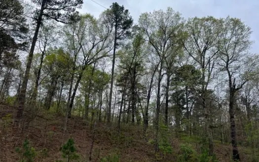 Mountain Land For Sale Near Lake Eucha South Of Jay, Oklahoma