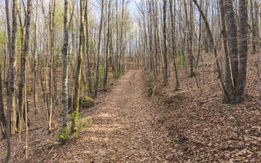 Large acreage land tract for sale in Alexander county NC