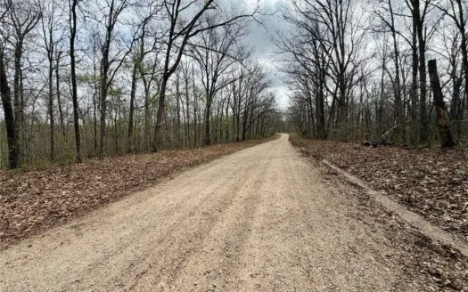 20 ± Acre Tract for Sale in Salem, Missouri