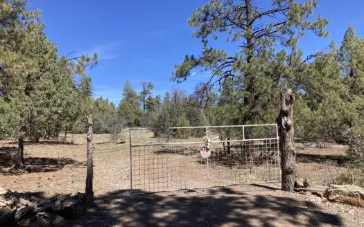 Beautiful 7.7 acre parcel near Chama New Mexico
