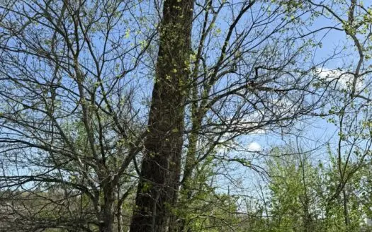 White River Lot near Batesville Arkansas in a Rural Setting