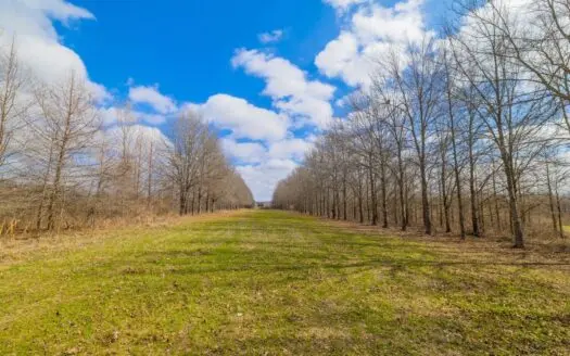 330+/- Acre Deer and Duck Hunting Property with a Camp