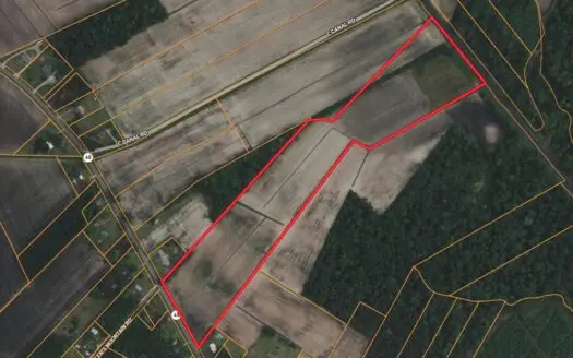 26-Acre Hunting & Farm Land Near Pungo Refuge on Hwy 45