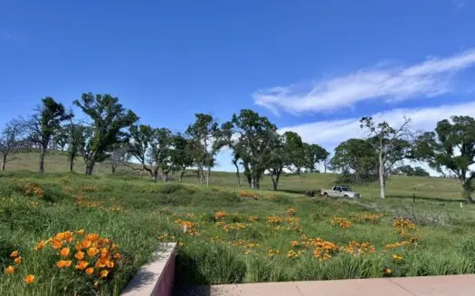 Winters, California Country Property Rec Land for Sale