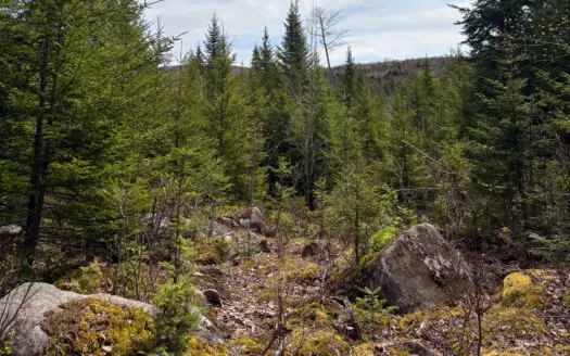 20 Acre Parcel with Brook Frontage – Oakfield, Maine