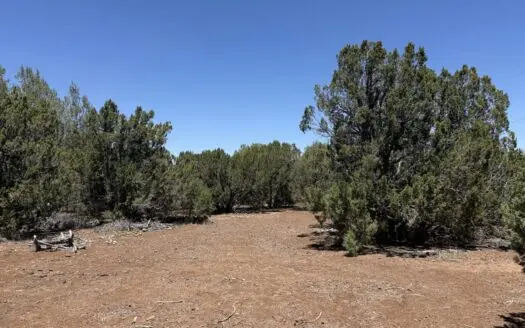 Arizona Land with Lake Privileges for Sale