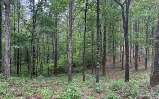 Heiberger Sportsman Club featuring an amazing lake, and much more