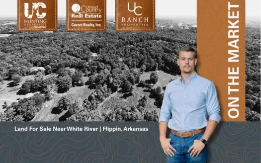 Land For Sale Near White River