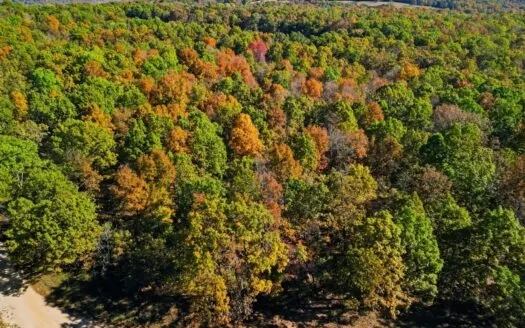 50 Acres Near Norfork Lake with Timber & Hunting in Hardenville