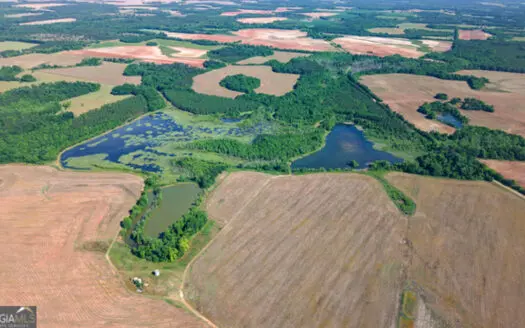 Property offers a strong mix of hardwoods, pines, and longleaf s