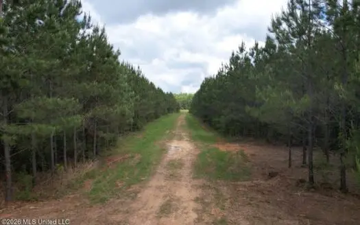 47 Acres in St. Helena Parish, LA with Black Creek