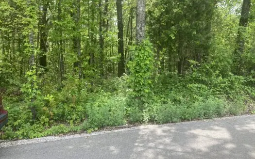 Building Land For Sale In North Central Arkansas