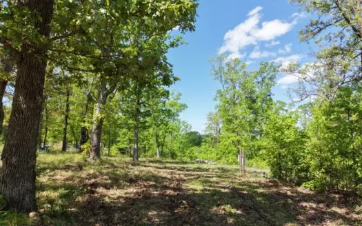Land For sale in St. Clair County Missouri