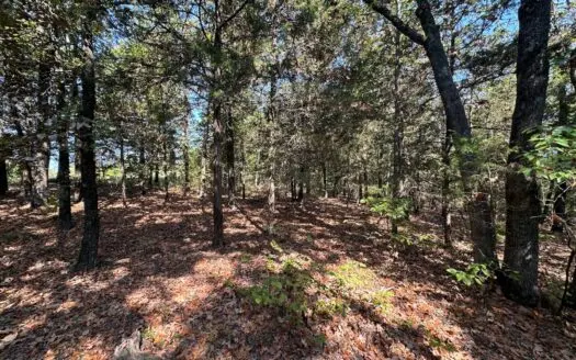 10.14+/- Acres of Land For Sale west of Searcy, AR