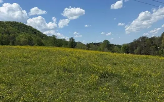 12 Unrestricted Acres In Hancock County, Tennessee