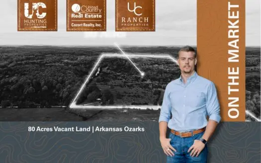 80 Acres Vacant Land in the Arkansas Ozarks | Fulton County