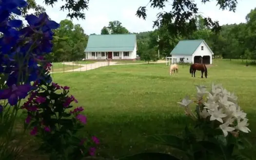 Ozarks Southfork River Country Home And Equine Farm For Sale