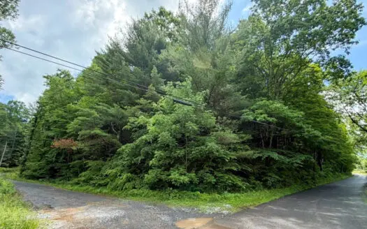 Elevated wooded lot to build cabin in Southwest Virginia