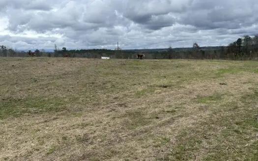 13.8 Acre – Mini Farm for Sale in Maplesville, AL.