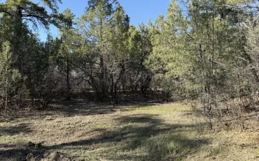 Off grid acreage, Ponderosa s/d near Chama NM