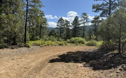 Land for sale with great views with power and shared well and pad