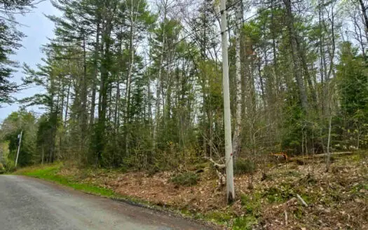 Coastal Area Land Lot with Water Views of South Pond