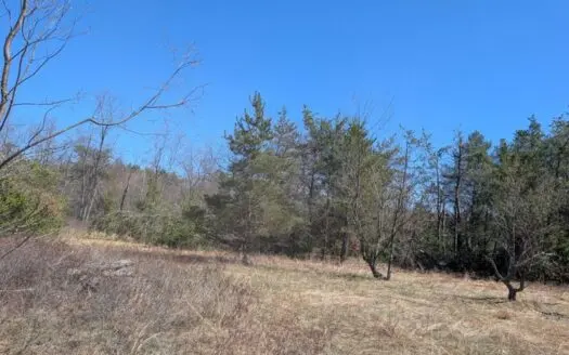 7.9 Buildable Acres (Parcel 3)  for sale in Atlanta MI