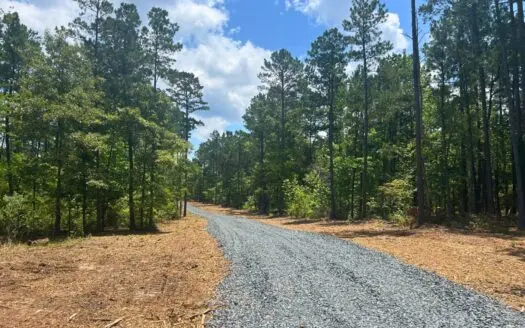 44 Acres of Unrestricted Land for Sale Near Marshall TX