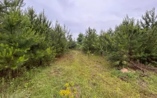 Recreational Land For Sale Lawrence County Silver Creek MS