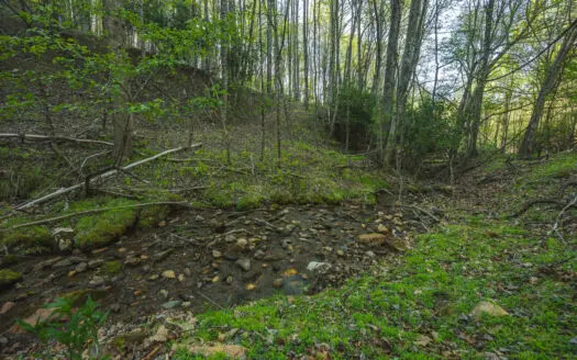 Recreational Acreage for Sale in Floyd County