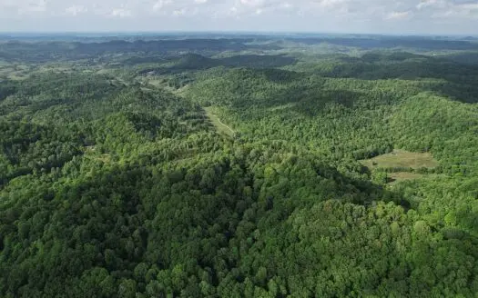 150+/- Acres – Timber – Great Hunting – Secluded – Liberty, KY.