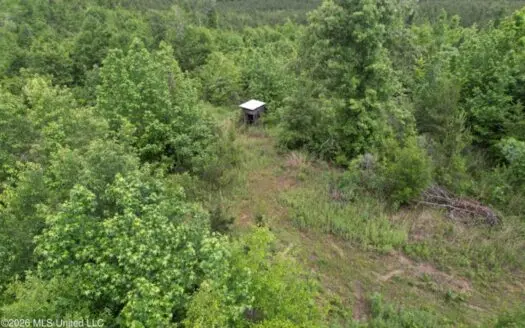 Recreational Land For Sale Lawrence County Silver Creek MS