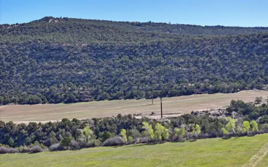 3 Parcels For Sale Income Hay Producing with Irrigation