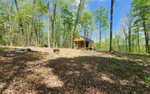 Rustic Cabin Retreat Near Dale Hollow Lake