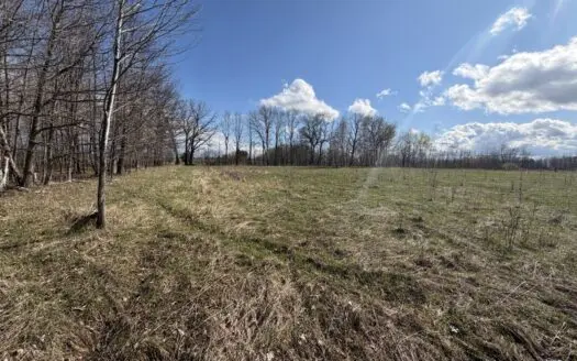 Portage County 40 Acre Hunting and Rec Property for Sale