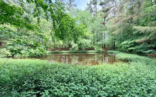 Land with a Pond and Building Site Prentiss Co., Mississippi