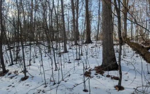Washington County Large Acreage Hunting and Timber