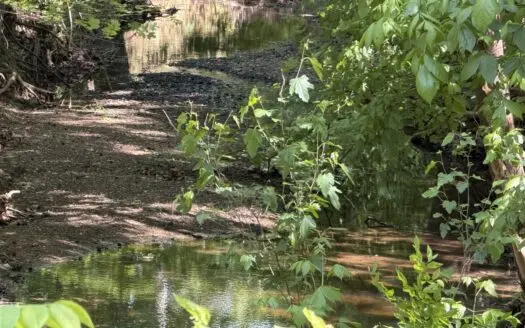 Land For Sale In Tn, Tillable, Creek, Building Site, Deer Hunting