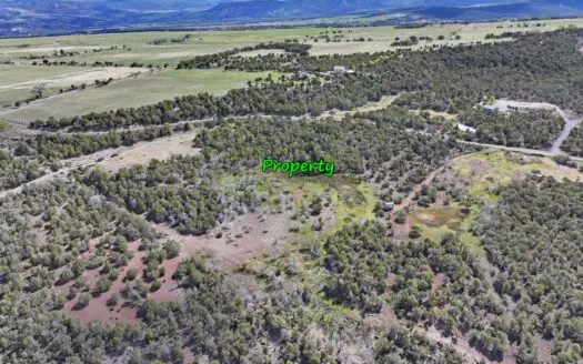 Vacant Land For Sale in Western Colorado with Tiny Home Included
