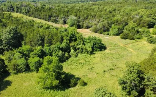 178 Acres of Premier Recreational Paradise St Clair County MO