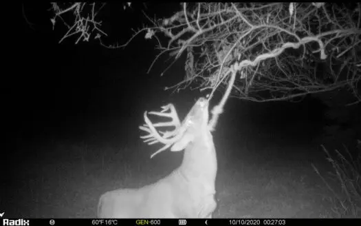 The Perfect 160± in Franklin County Kansas